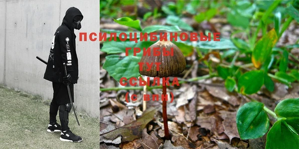 прущая мука Абдулино