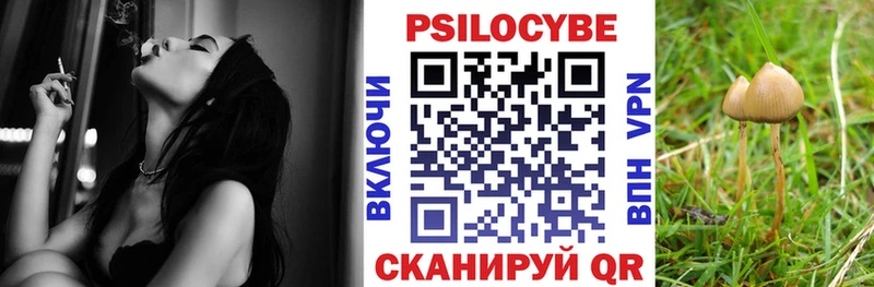 площадка телеграм  МЕГА как зайти  Болохово  Псилоцибиновые грибы Magic Shrooms 